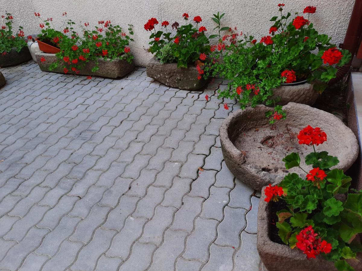 Bed and Breakfast Korona Panzio Одорхею-Секуйеск Экстерьер фото