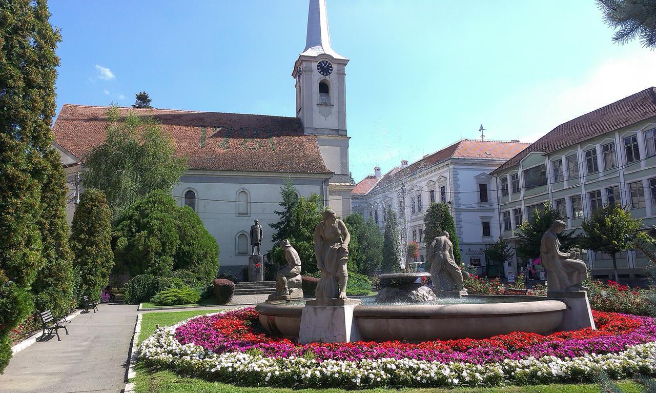 Bed and Breakfast Korona Panzio Одорхею-Секуйеск Экстерьер фото
