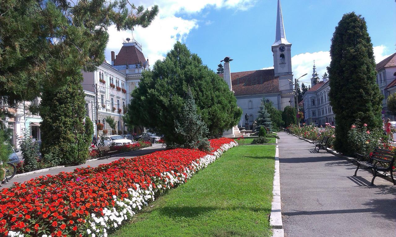 Bed and Breakfast Korona Panzio Одорхею-Секуйеск Экстерьер фото